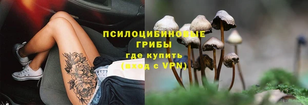 амф Абаза